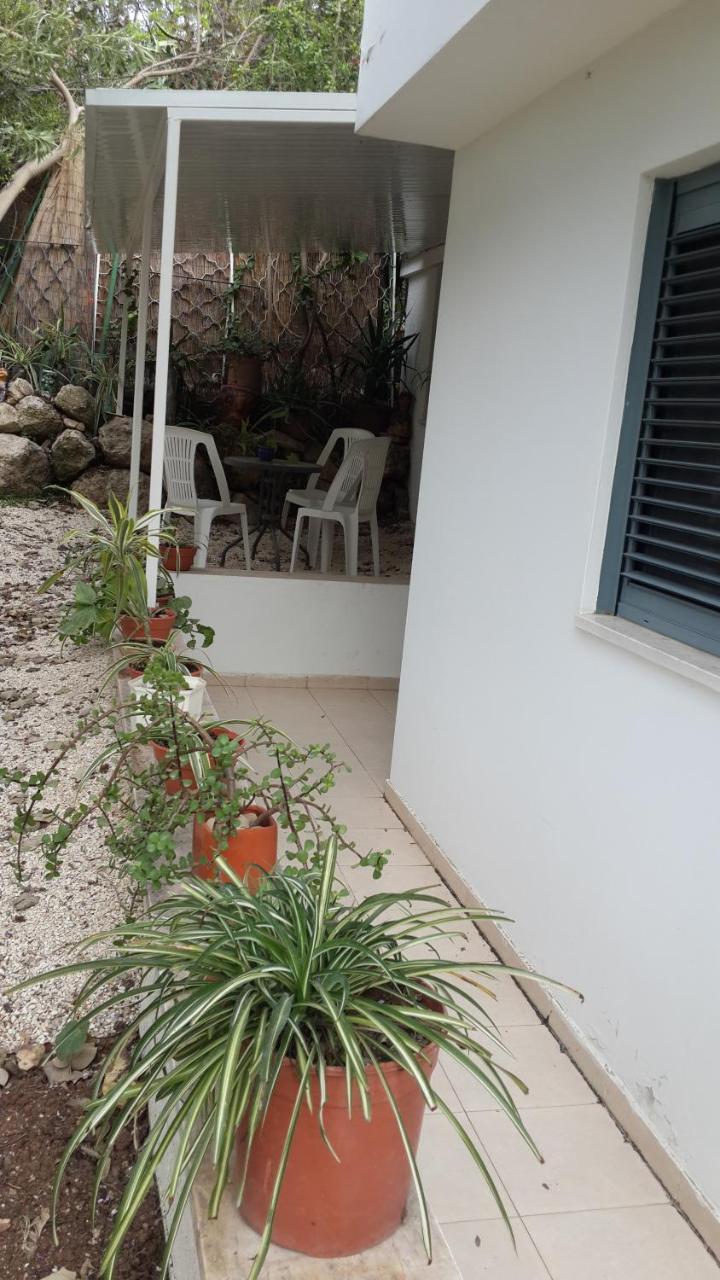 Bed and breakfast Kibbutz Nachshon Extérieur photo